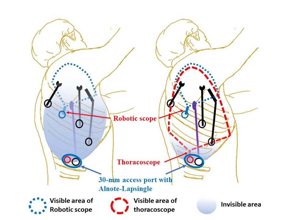 Dual scope method: A novel application of a simultaneous multi-image ...